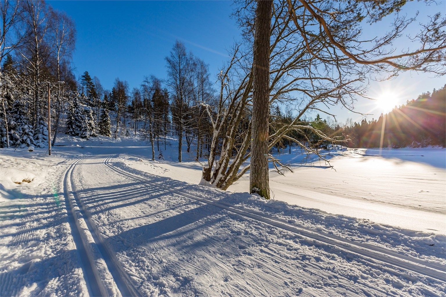 Skiløyper på Linderudkollen. Her er det kuntsnøløype, om ikke snøen spiller helt på lag