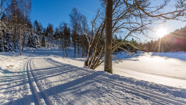 Skiløyper på Linderudkollen. Her er det kuntsnøløype, om ikke snøen spiller helt på lag