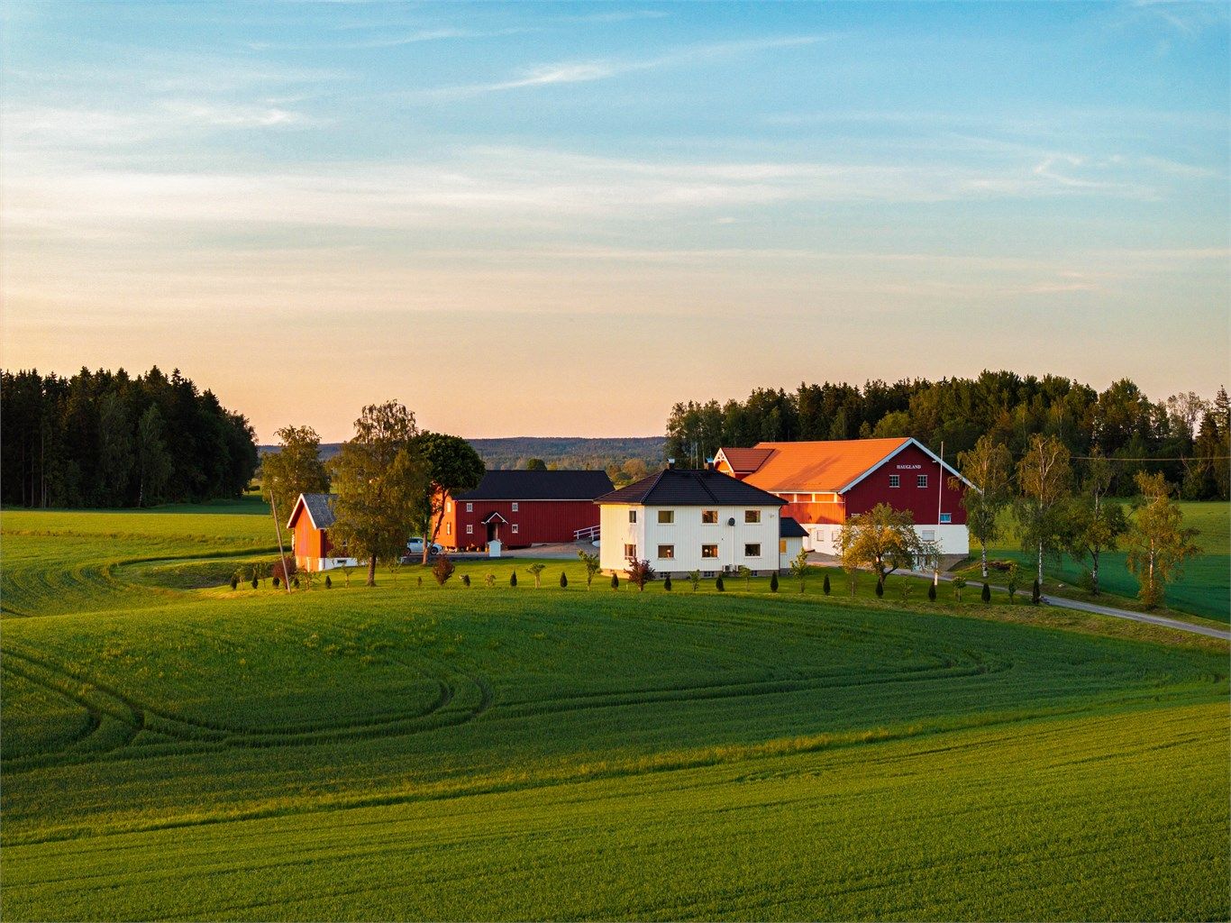 På høyden ute i det bølgede åkerlandskapet ligger gården Haugland, helt for seg selv.