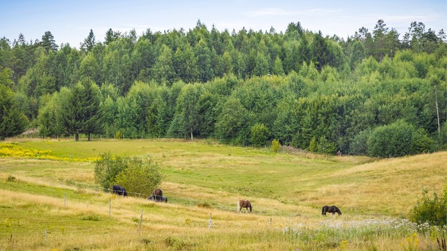 Nærområdet byr på landlige omgivelser og fine turmuligheter rett utenfor døren.