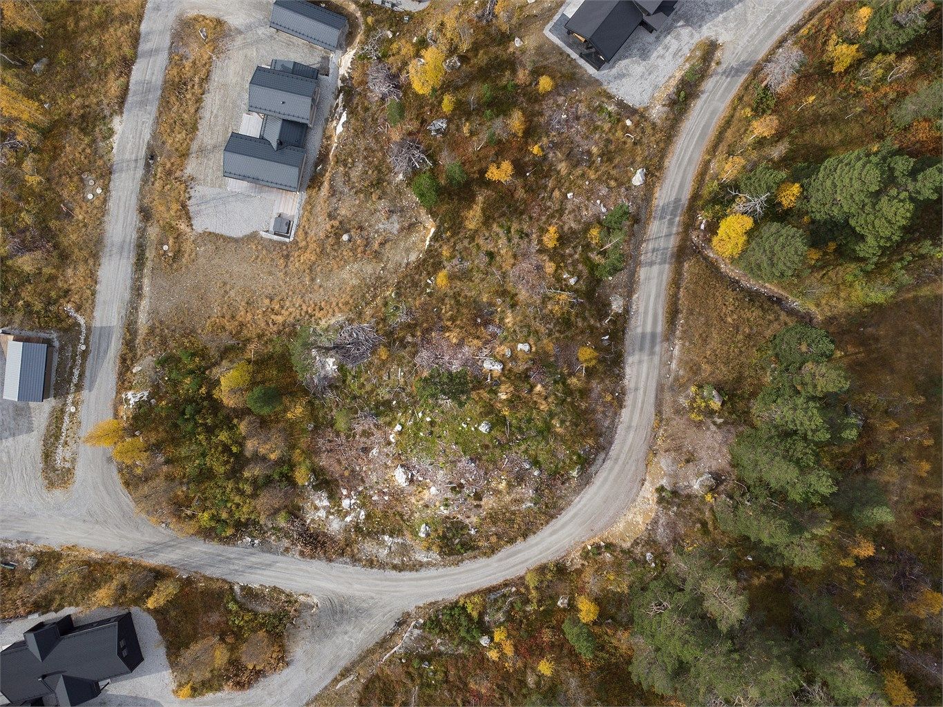 Dronebilde av tomten sett fra fugleperspektiv