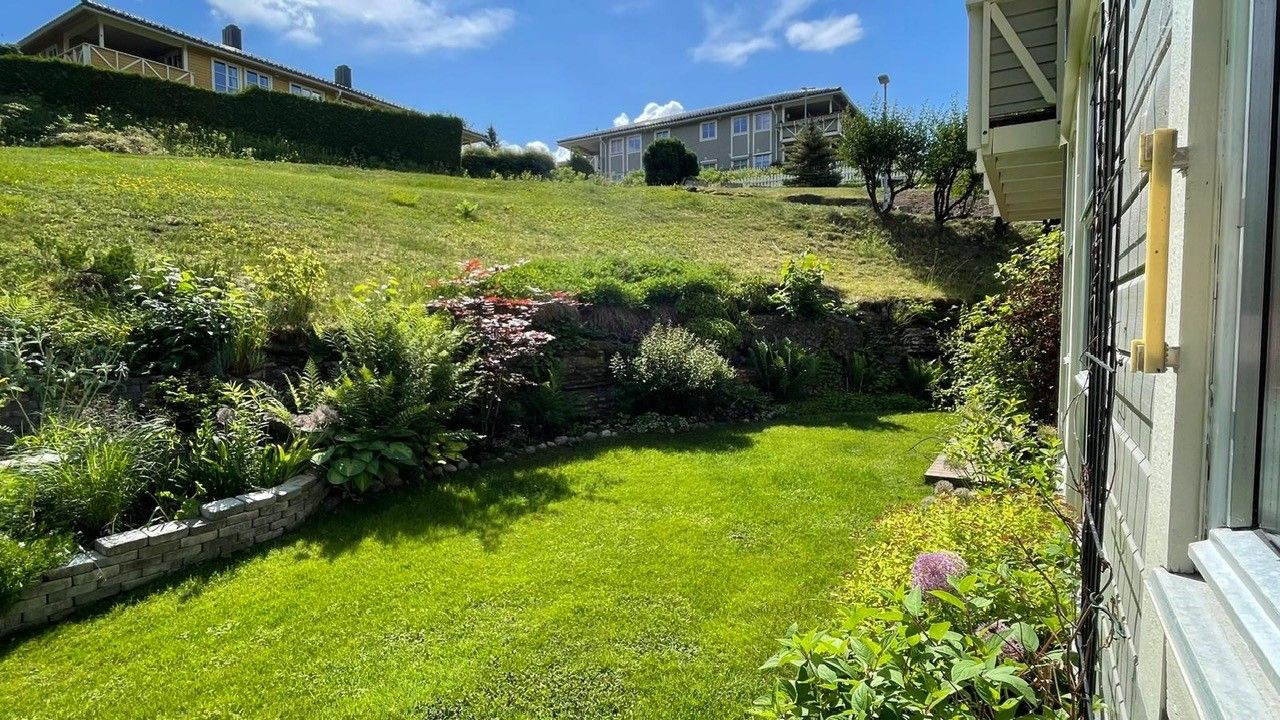 Selgers bilde av hagen