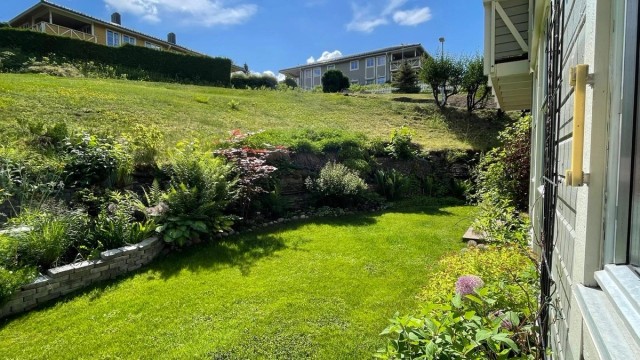 Selgers bilde av hagen