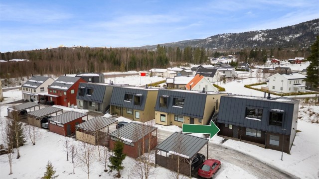 Til fellesarealene hører utearealer som gangveier, grøntanlegg, gårdsrom, oppholds-/lekearealer og sittegrupper.