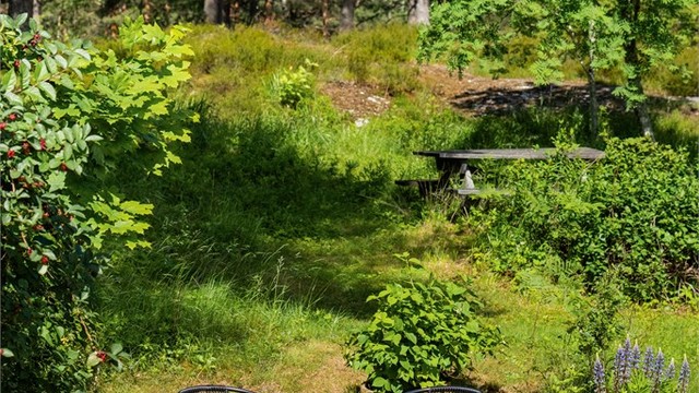 Det er etablert flere hyggelige soner i hagen.
Selger opplyser at den frittstående uteboden, sitteplassen nærmest skogen samt ett tre/busk ligger utenfor eiendommens tomtegrense.