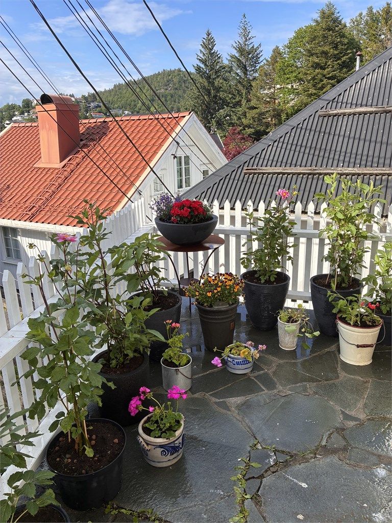 Koselig uteplass til huset.