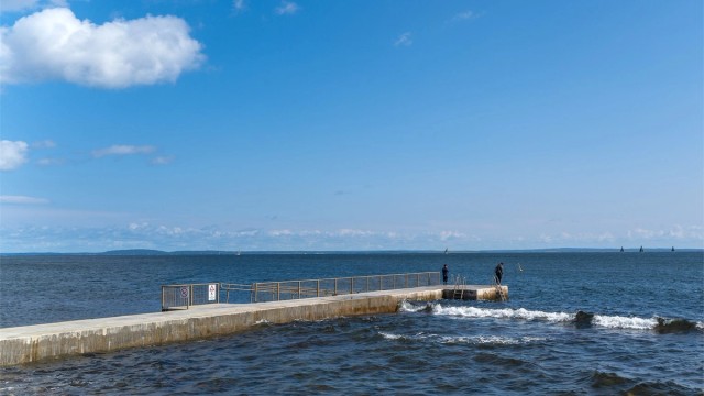 Ringshaug