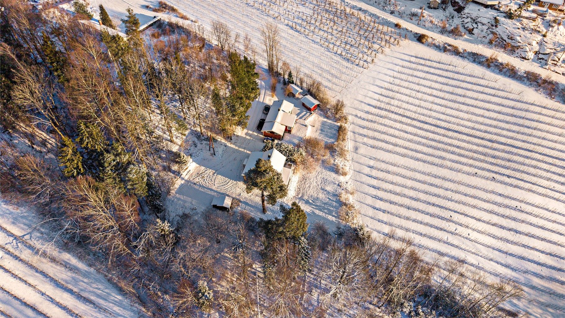 Dronefoto