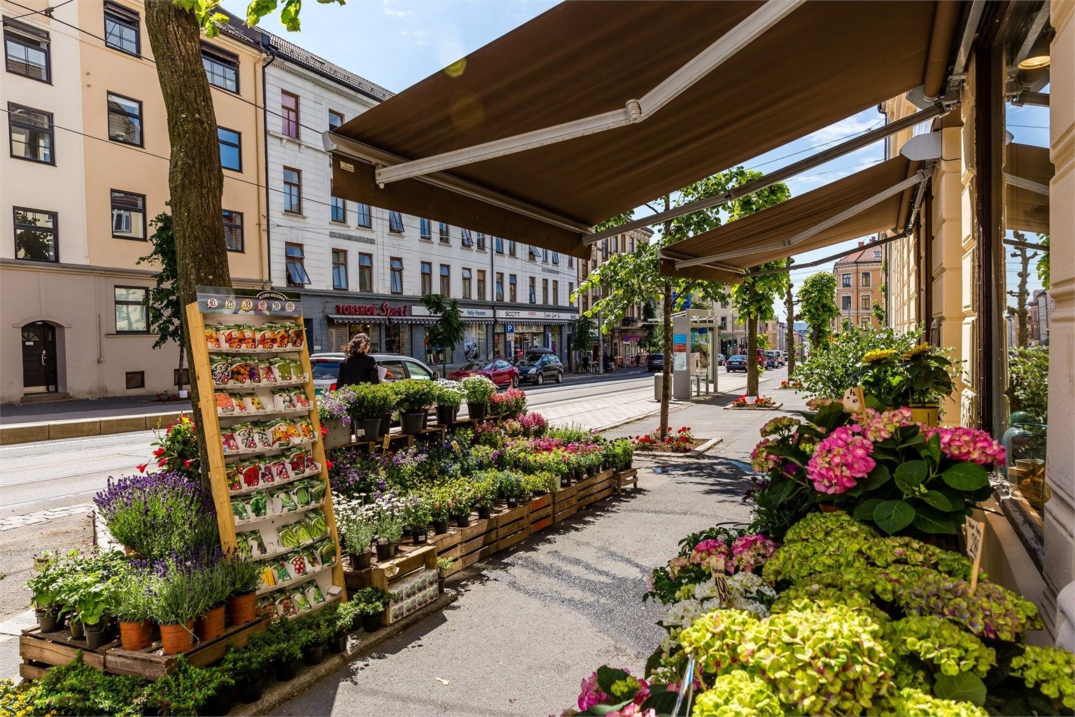 Torshov er kjent for sine mange spesialforretninger og nisjebutikker, som blomsterforretningen Mustang Sally.