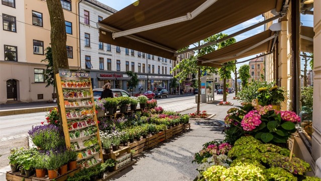 Torshov er kjent for sine mange spesialforretninger og nisjebutikker, som blomsterforretningen Mustang Sally.