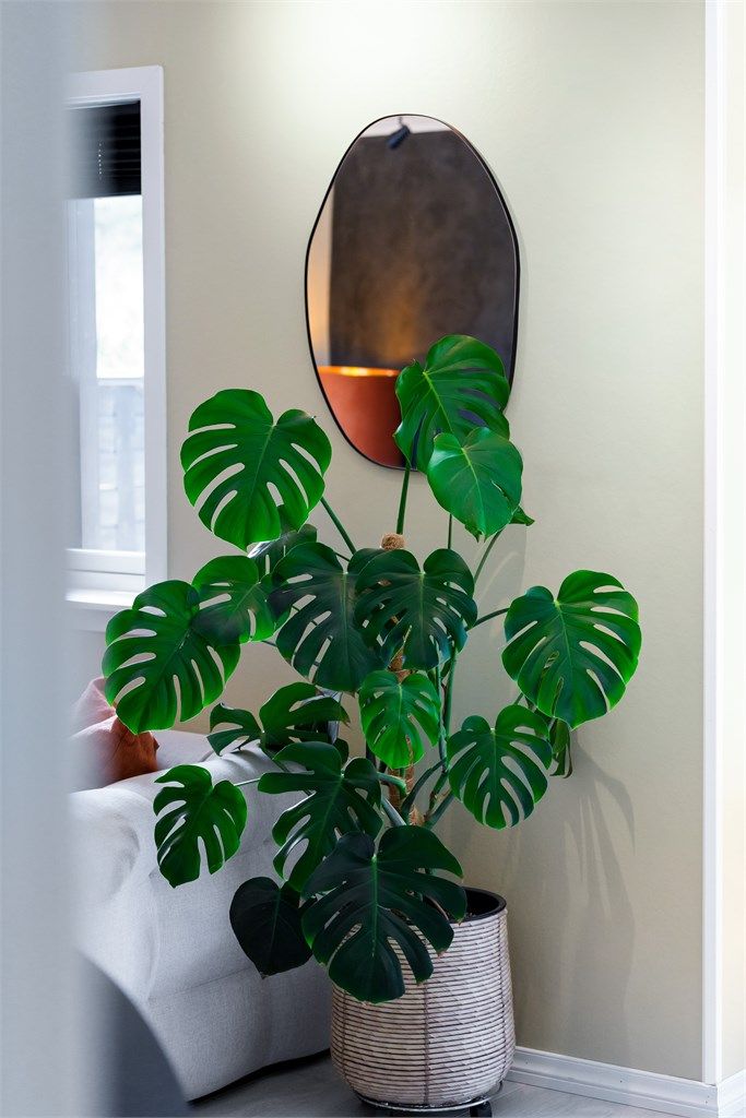 Detaljer som skaper en helhetlig stil.