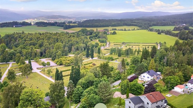 Skoger IL med flerbrukshall ved Skoger skole, med gangavstand fra eiendommen.