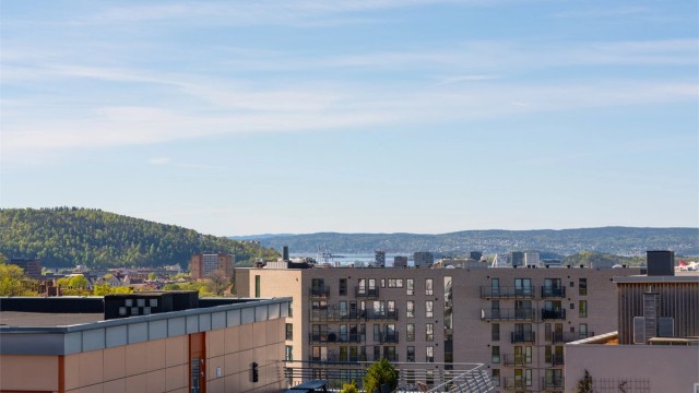 Utsikt fra felles takterrasse.