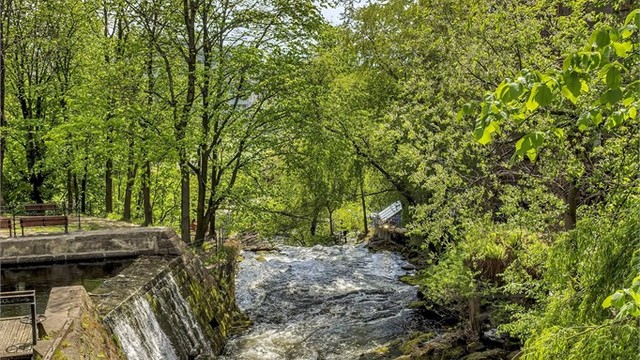Grønne omgivelser er en naturlig del av livet her. Akerselva ligger 5-10 minutters gange unna og byr på flotte tur- og løpemuligheter året rundt.