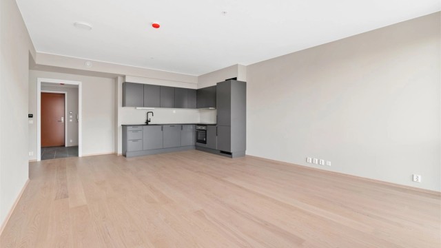 Praktisk og åpen stue- og kjøkkenløsning måler romslige 32 kvm.