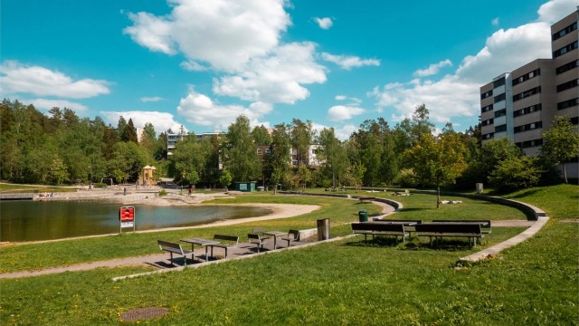 Svarttjern