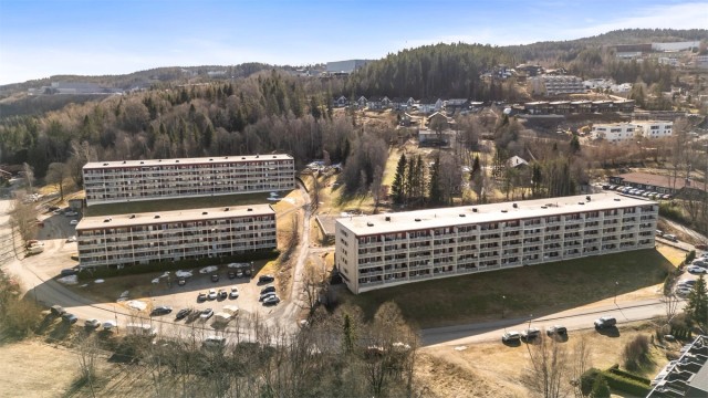 Oversiktsbilde som viser den skjermede og grønne beliggenheten på Hagan.