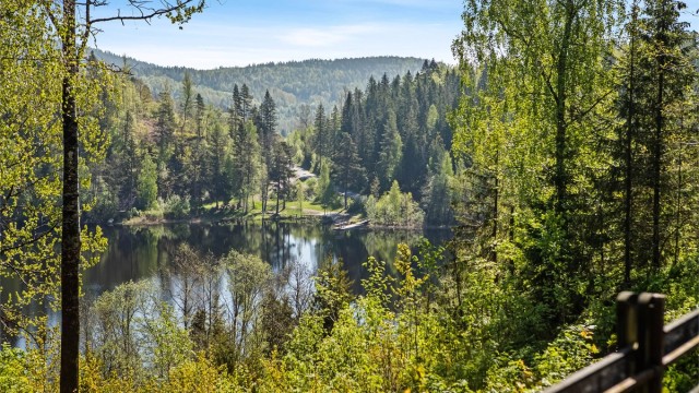 Innen kort gange finner du en større badeplass med både sandstrand, stor gresslette og badebrygge med stupetårn. Her er det tilrettelagt for både store og små.