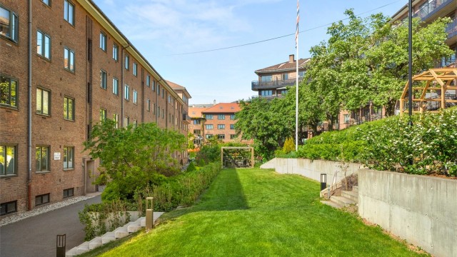 Pent opparbeidet gressplen.