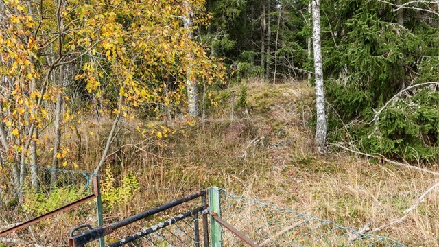 Eiendommen har direkte adkomst til stinettet i skogen via egen port i gjerdet.