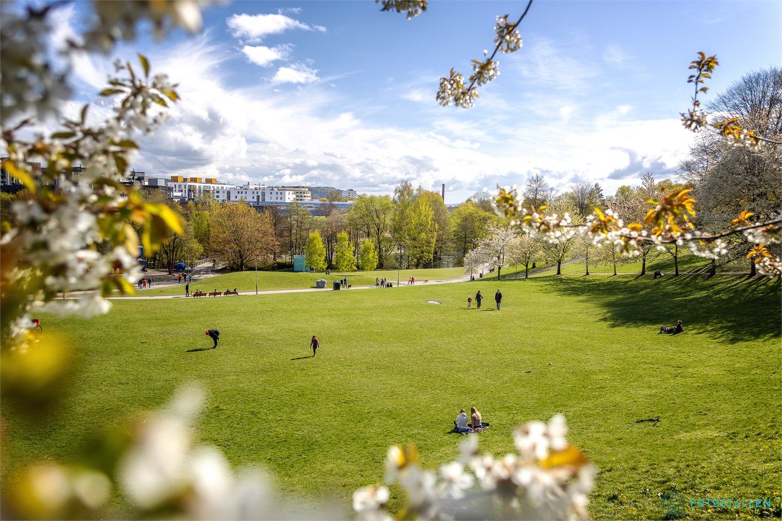 Leiligheten har kort adkomst til grønne omgivelser og turområder, her sees Myraløkka. 
