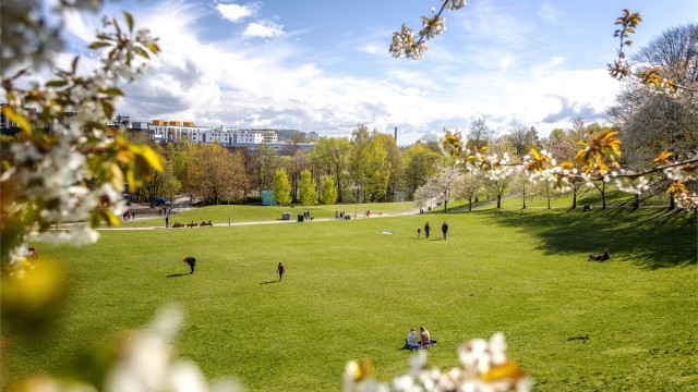 Leiligheten har kort adkomst til grønne omgivelser og turområder, her sees Myraløkka.