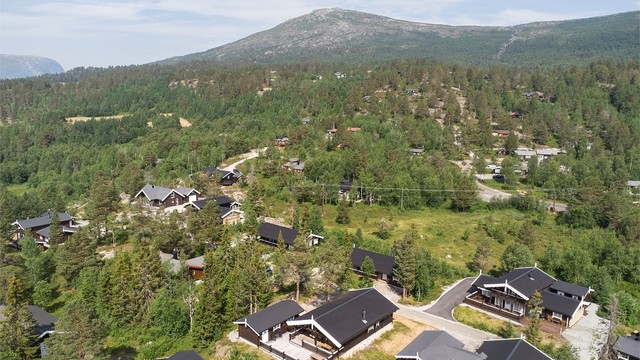 Skiløyper og turstier går rett bak hytta.