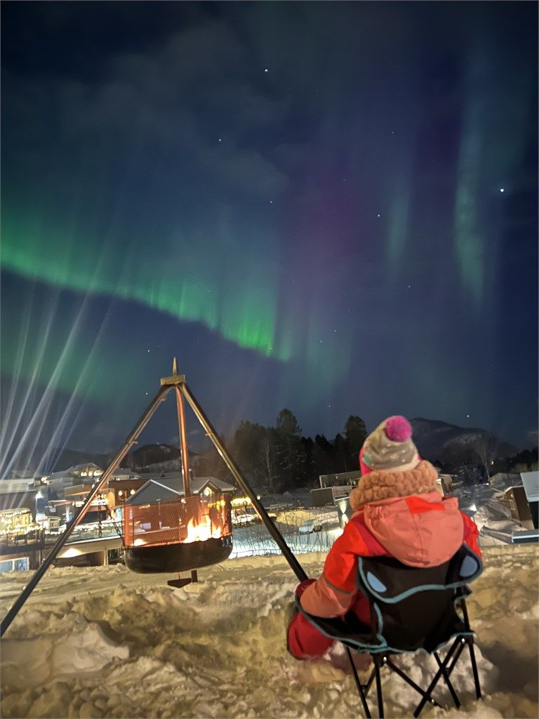 Vinterkvelder med nordlys kan nytes fra eiendommen - bilde tatt av selger