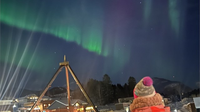 Vinterkvelder med nordlys kan nytes fra eiendommen - bilde tatt av selger