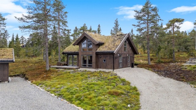 Velkommen til Blåbærvegen 138 - Nyere og lekker fritidsbolig fra 2022. Foto v/EFKT