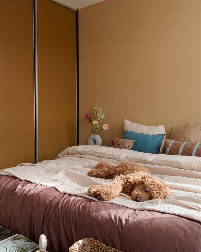 Hundevalg og fargevalg er begge viktige kriterier for et lunt og innbydende soverom. Her er det perfeksjonert!