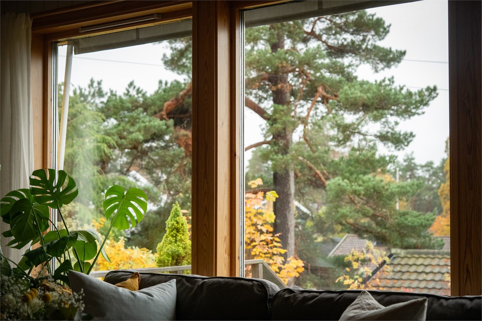I tillegg til utsikten ut mot Åsbråten, Nesodden og Asker, er det også utsyn fra stuevinduene mot frodige trær og grønne omgivelser som samtidig skjermer for innsyn fra hus som ligger et stykke unna.