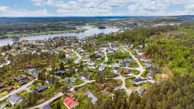 Oversikt over det rolige og etablerte nabolaget.