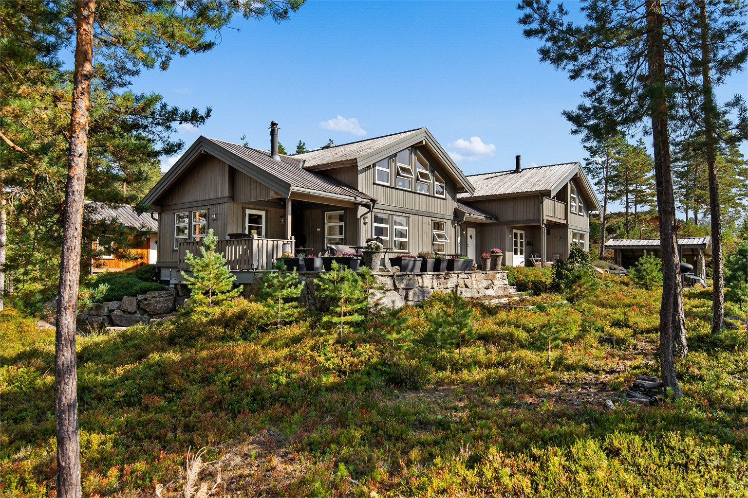 Naturen omkranser hytten på en fin naturlig måte