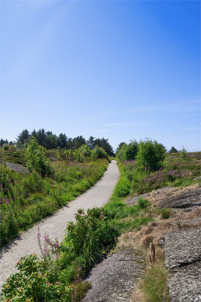 Fine turområder i gangavstand fra boligen. 