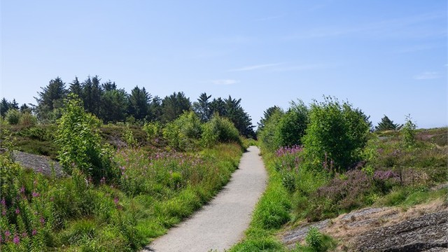 Fine turområder i gangavstand fra boligen.