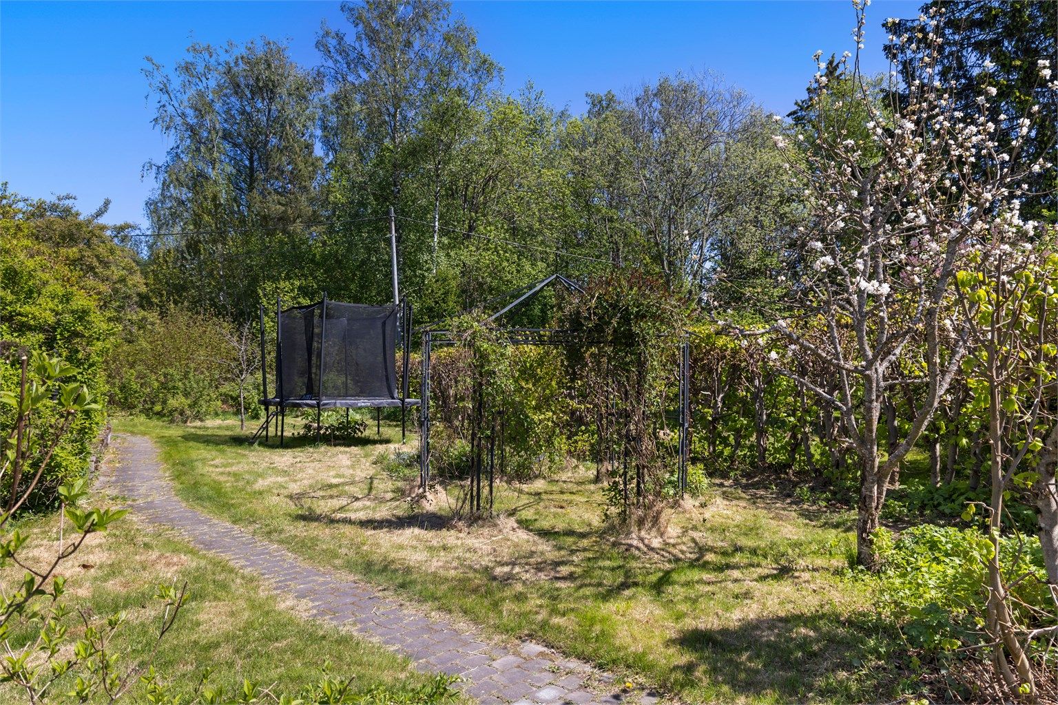 I hagen er det både bærbusker og frukttrær