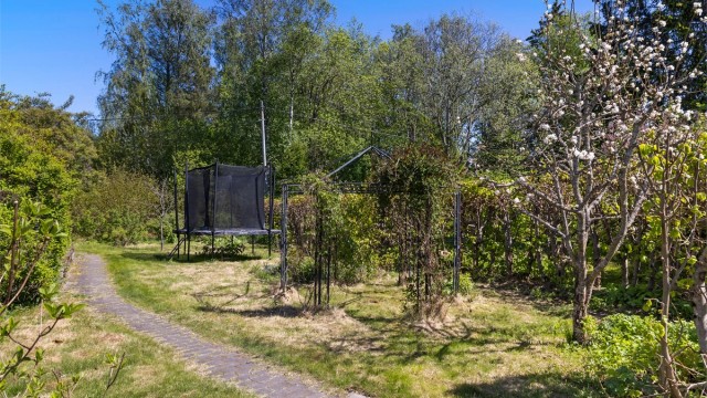 I hagen er det både bærbusker og frukttrær