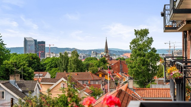 Flott utsyn over den karakteristiske trehusbebyggelsen på Rodeløkka.