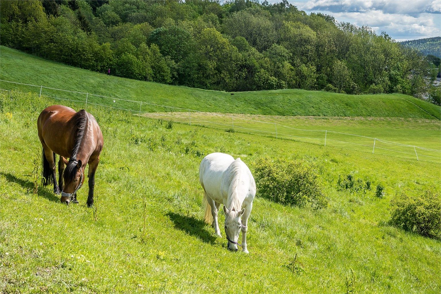 Idylliske Årvoll gård