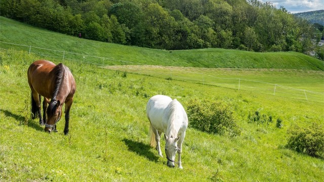 Idylliske Årvoll gård