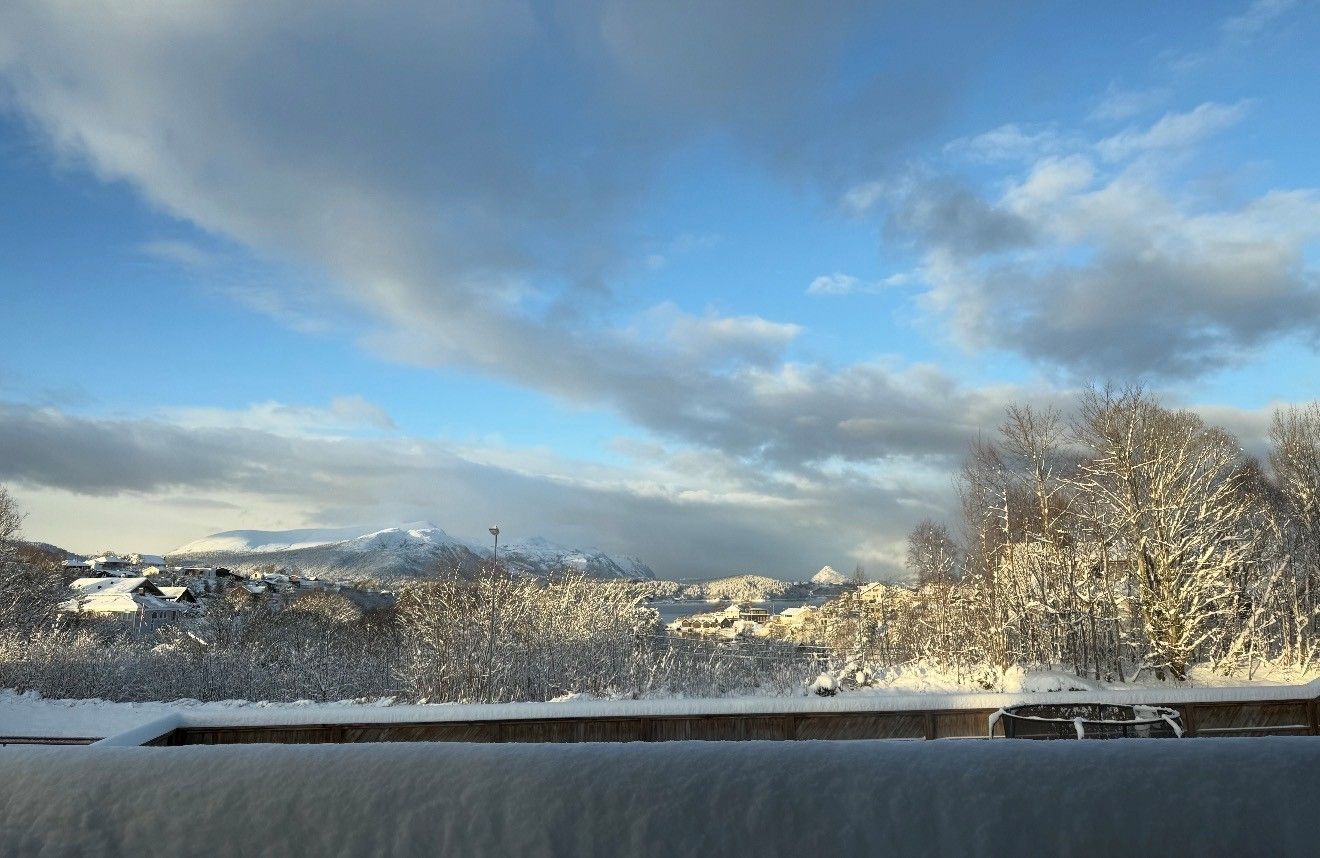 Utsiktsbilde vinter - tatt av selger