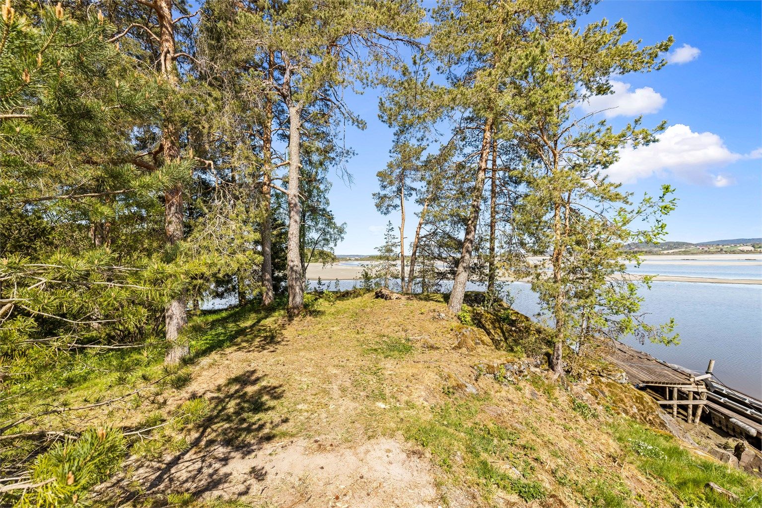 Naturtomten gir en følelse av å være for seg selv, med trær og frodig vegetasjon.