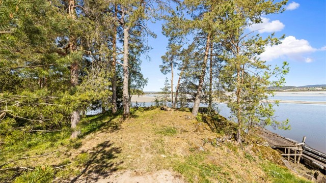 Naturtomten gir en følelse av å være for seg selv, med trær og frodig vegetasjon.