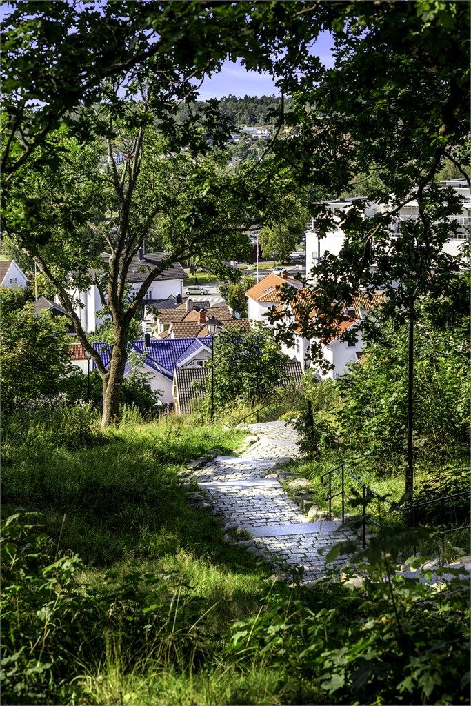 Fine turstier og trappeganger opp til Preståsen naturpark med utsikt over byen.