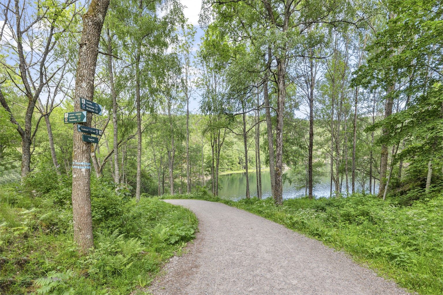 Østmarka har mange stier, turveier og vann