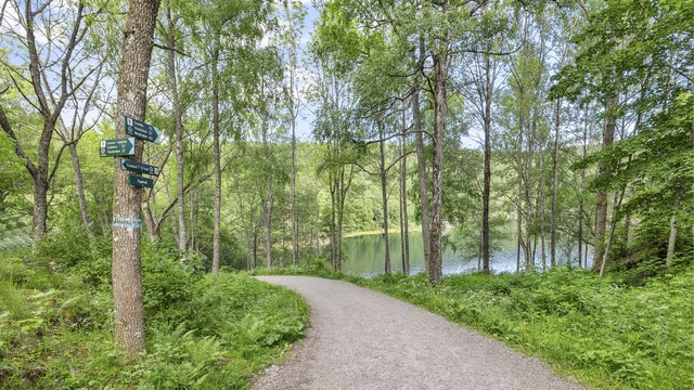 Østmarka har mange stier, turveier og vann