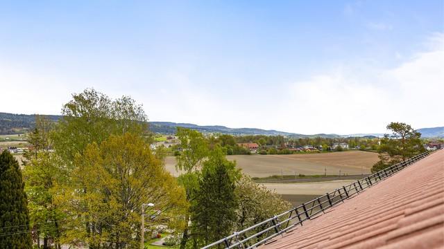 Utsikt - Nærområdet.