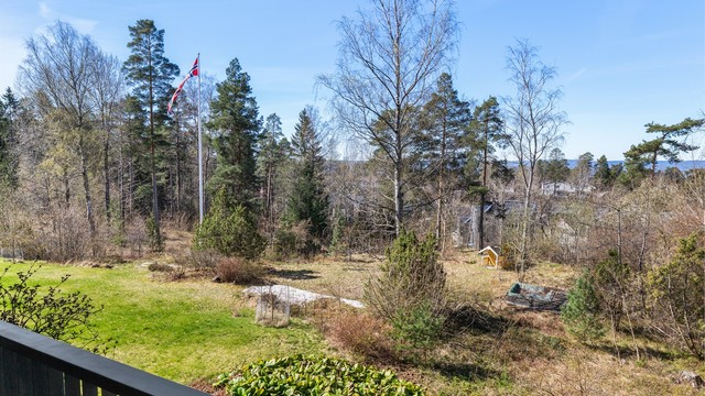 Utsikt over de frodige og rolige omgivelsene