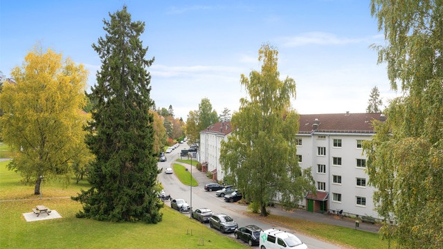 Utsikt fra stue/kjøkken